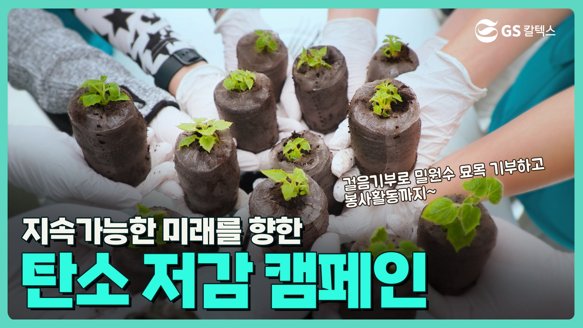 지구를 위한 한 그루, GS칼텍스 밀원수 재배 봉사활동 2 지속가능한 미래를 향한 탄소 저감 캠페인