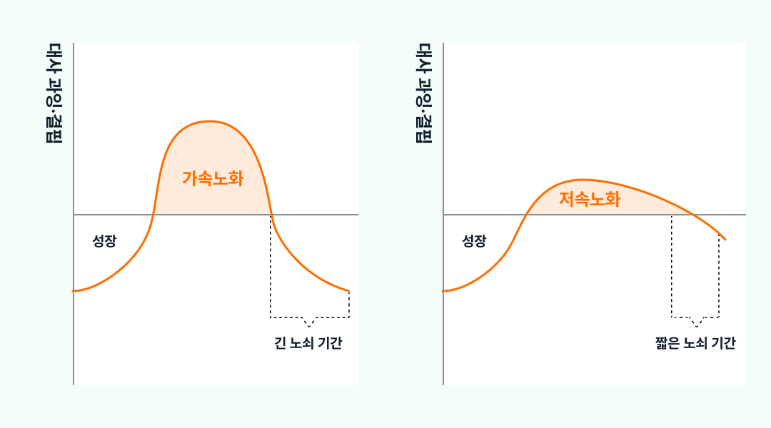 100세 시대, 지금 필요한 건 저속노화 2 몸 속 속도를 늦추는 조건들, 가속노화와 저속노화의 차이