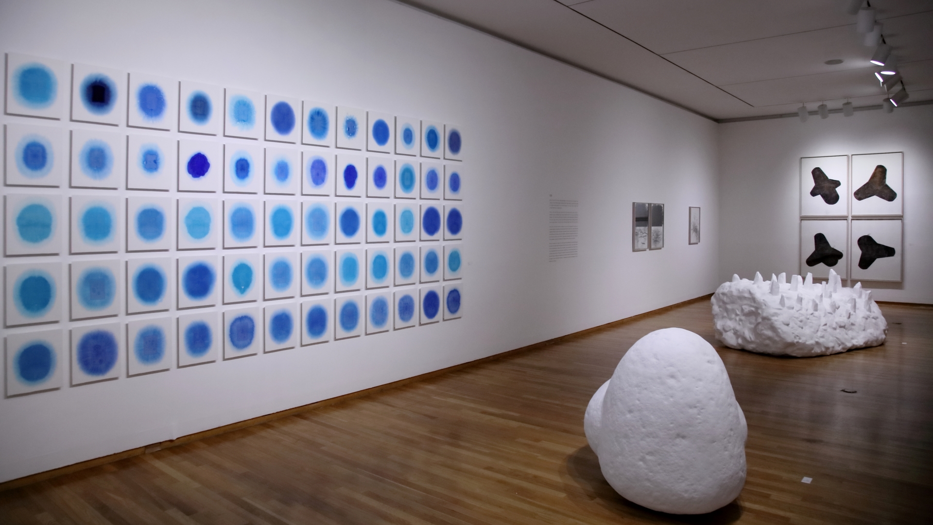 섬이 낳은 예술, GS칼텍스 예울마루 창작스튜디오의 기록 | 4